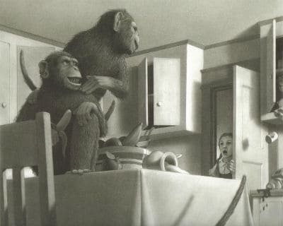 Van Allsburg Monkeys