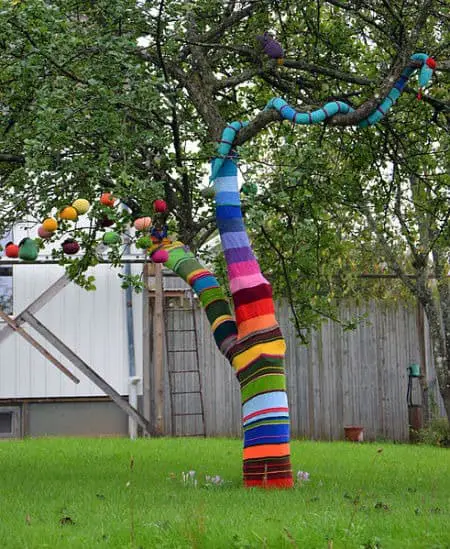 yarn bombed tree