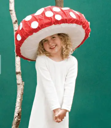 Little toadstool costume from Family Fun