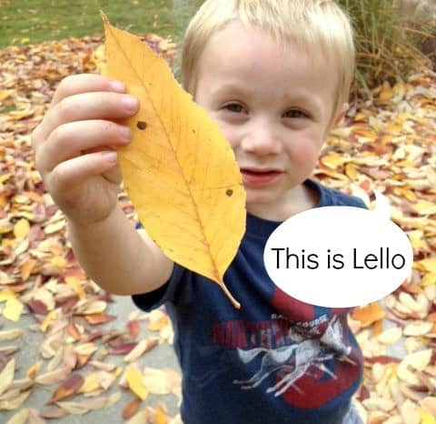 lello leaf |  from Artchoo.com