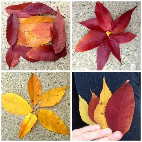 leaf collage | Artchoo.com