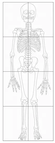 skeleton printout