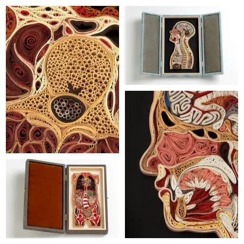 anatomy art projects for kids