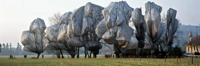 Wrapped Trees- Christo and Jeanne-Claude. Kids Learn Installation art • Artchoo.com #arted