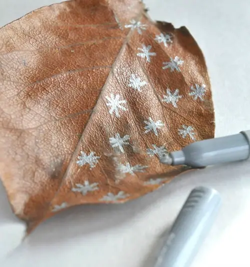 drawing on leaves