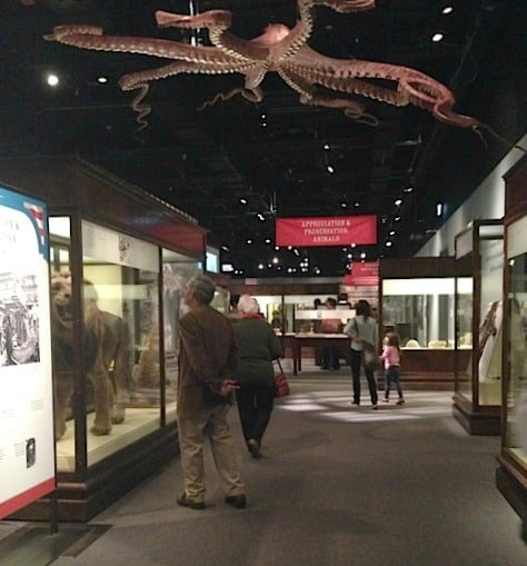 world's fair exhibit at field museum