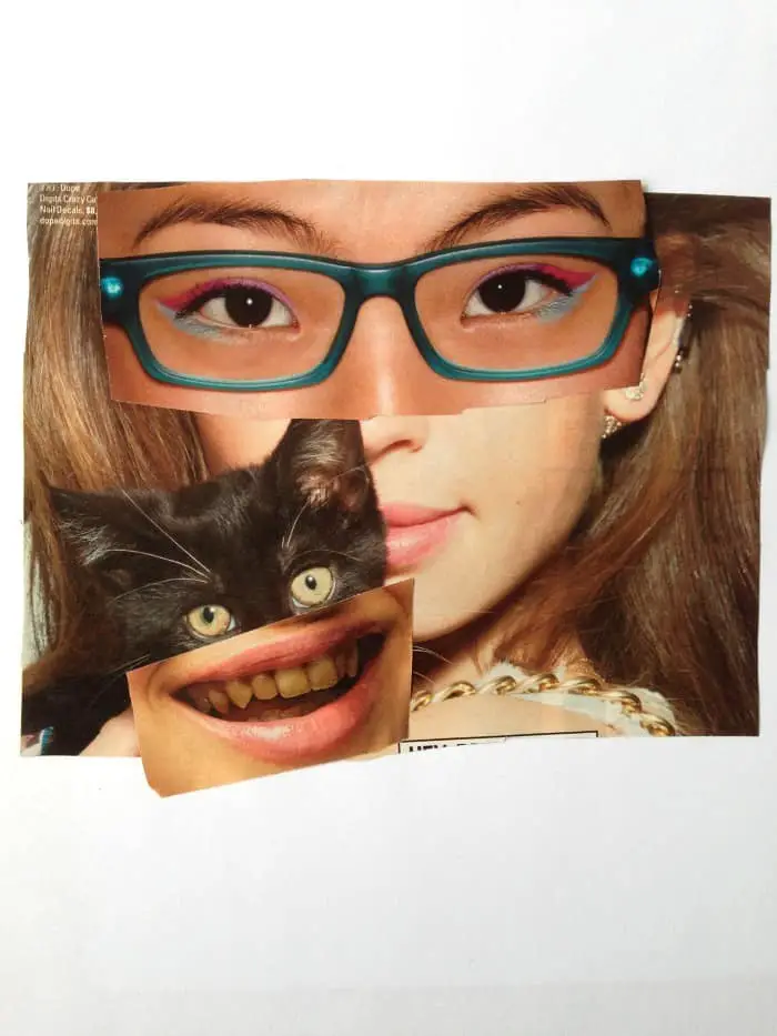 Awesome surreal magazine collage faces. TinyRottenPeanuts.com