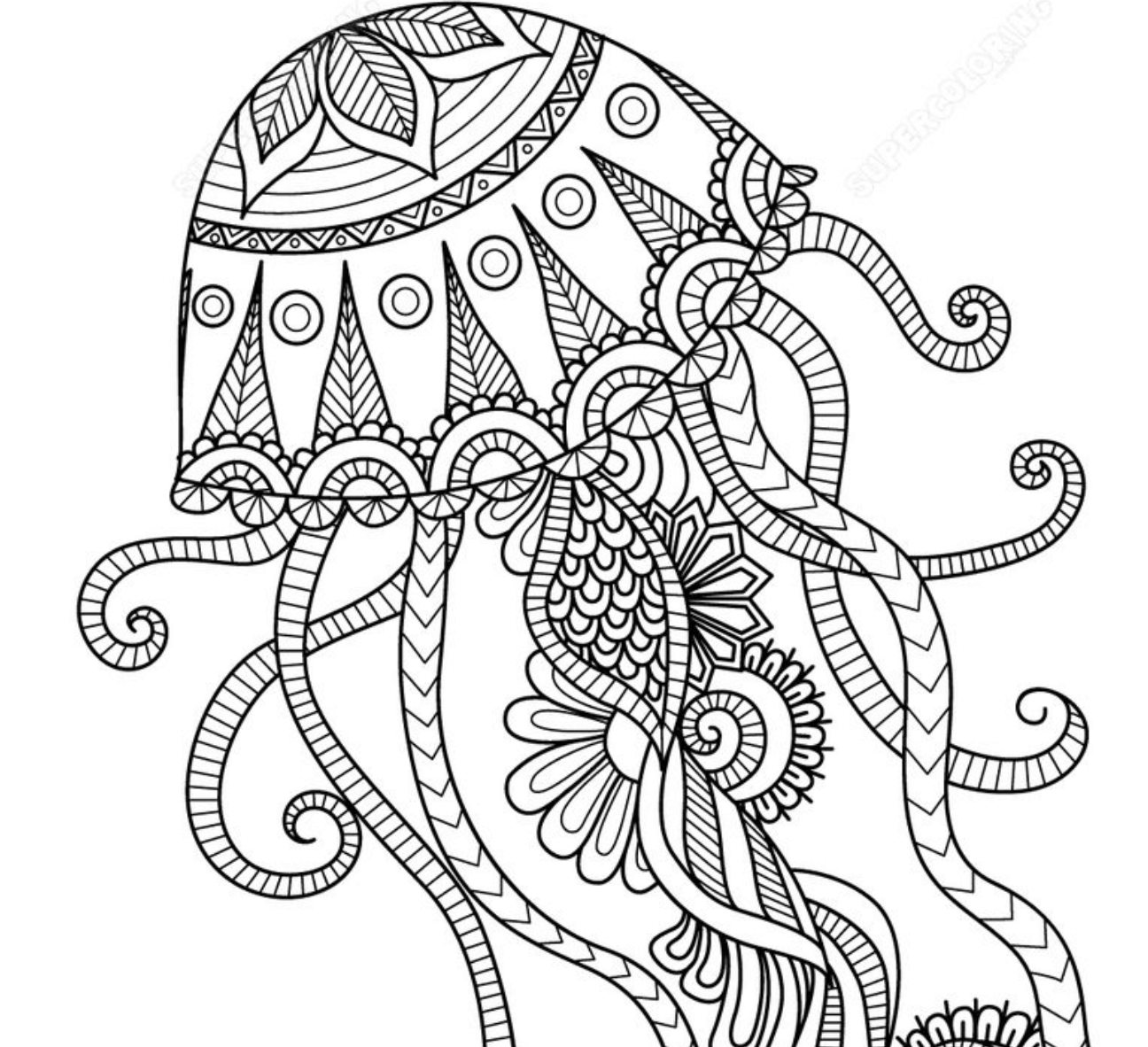 advanced coloring for adults zentangle animal images