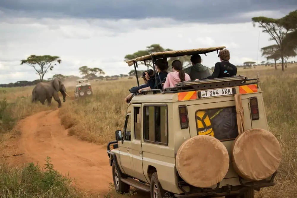 Teenagers on a photography trip with National Geographic