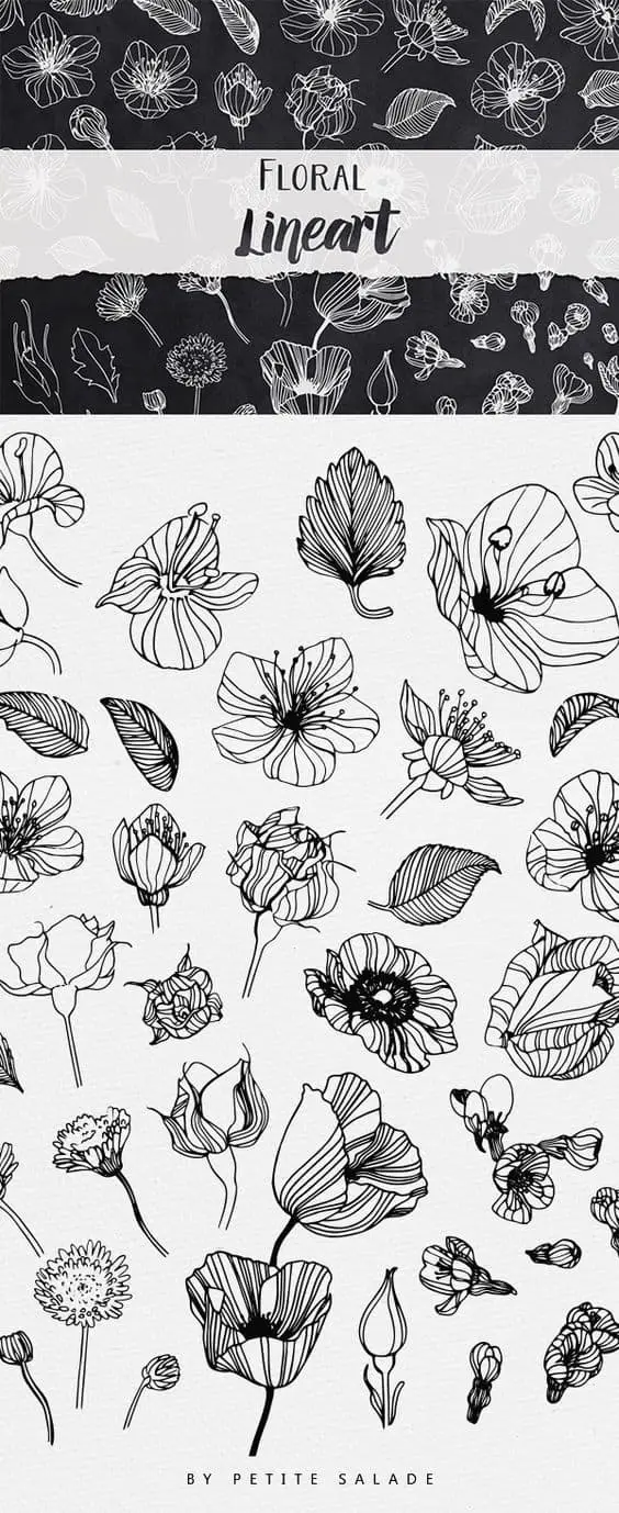 floral line art