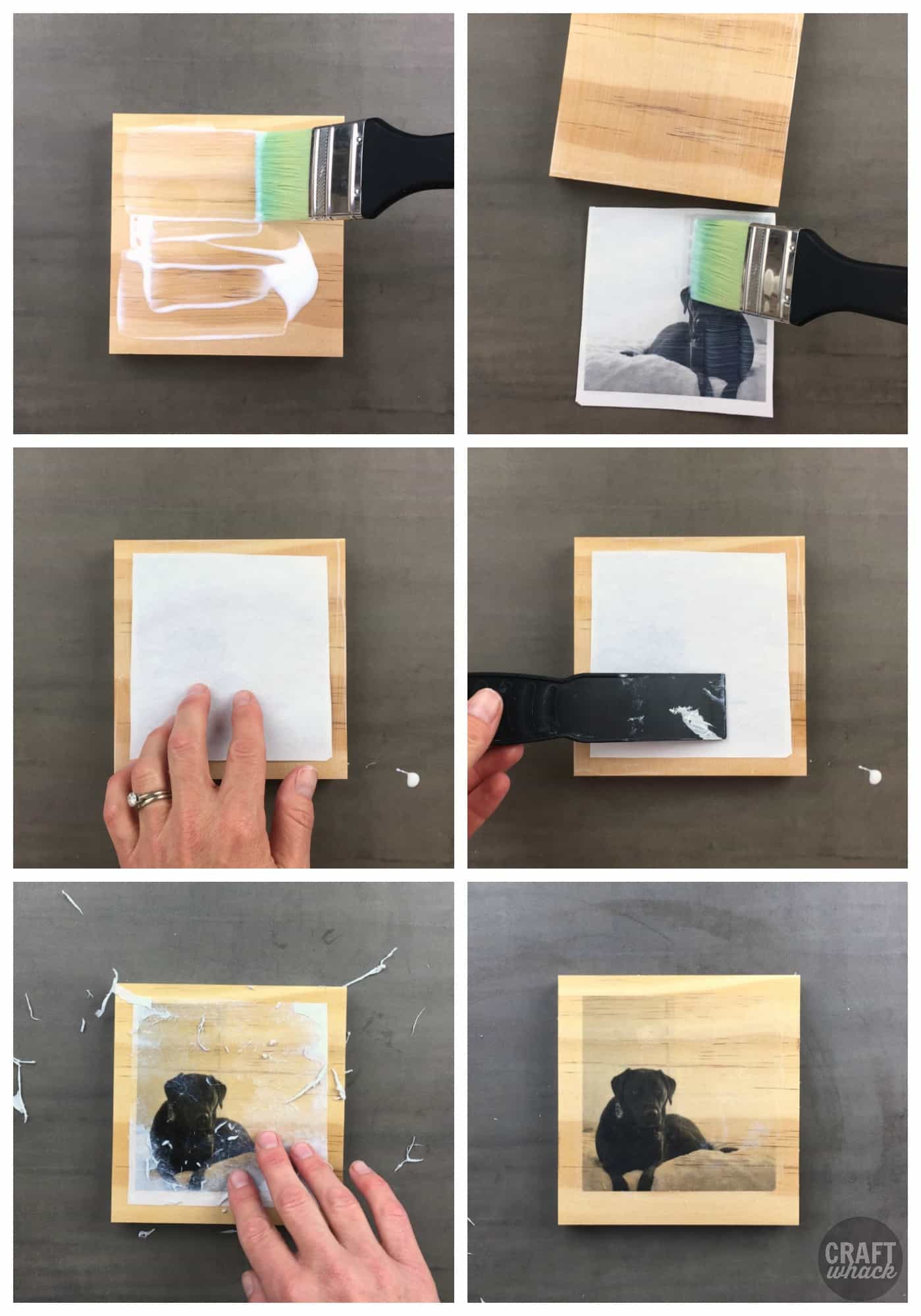 Acrylic gel medium photo transfer process - image of dog