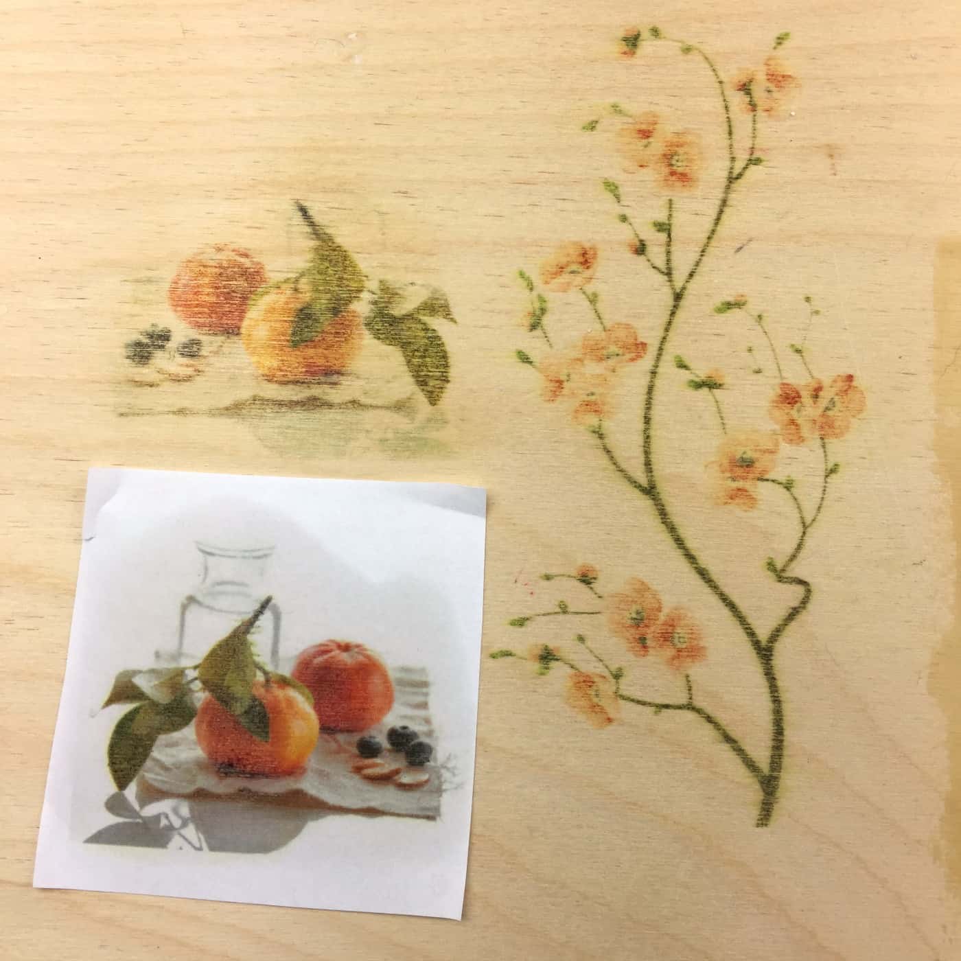 fruit and flower branch images transferred onto wood with blender pen