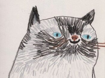 funny cat portrait illustration smiling