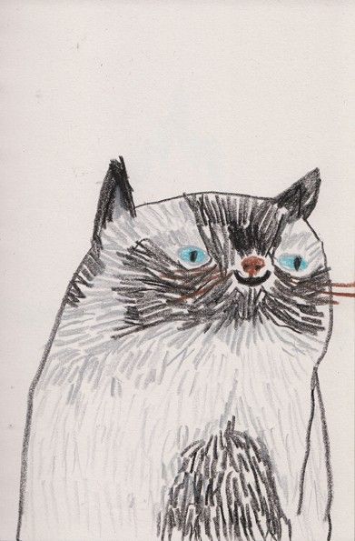 funny cat portrait illustration smiling