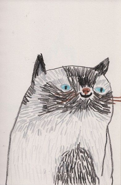 grumpy cat pencil drawing