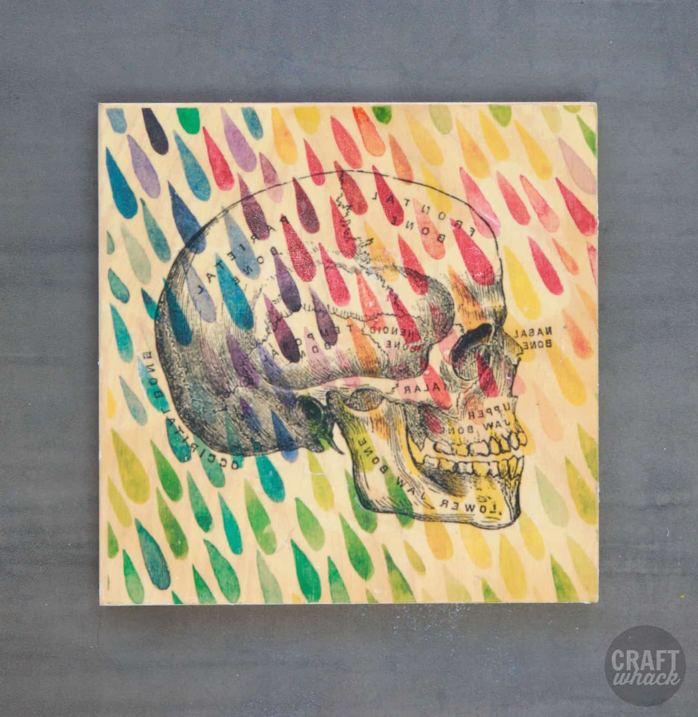 skull and colorful raindrop images transferred onto wood