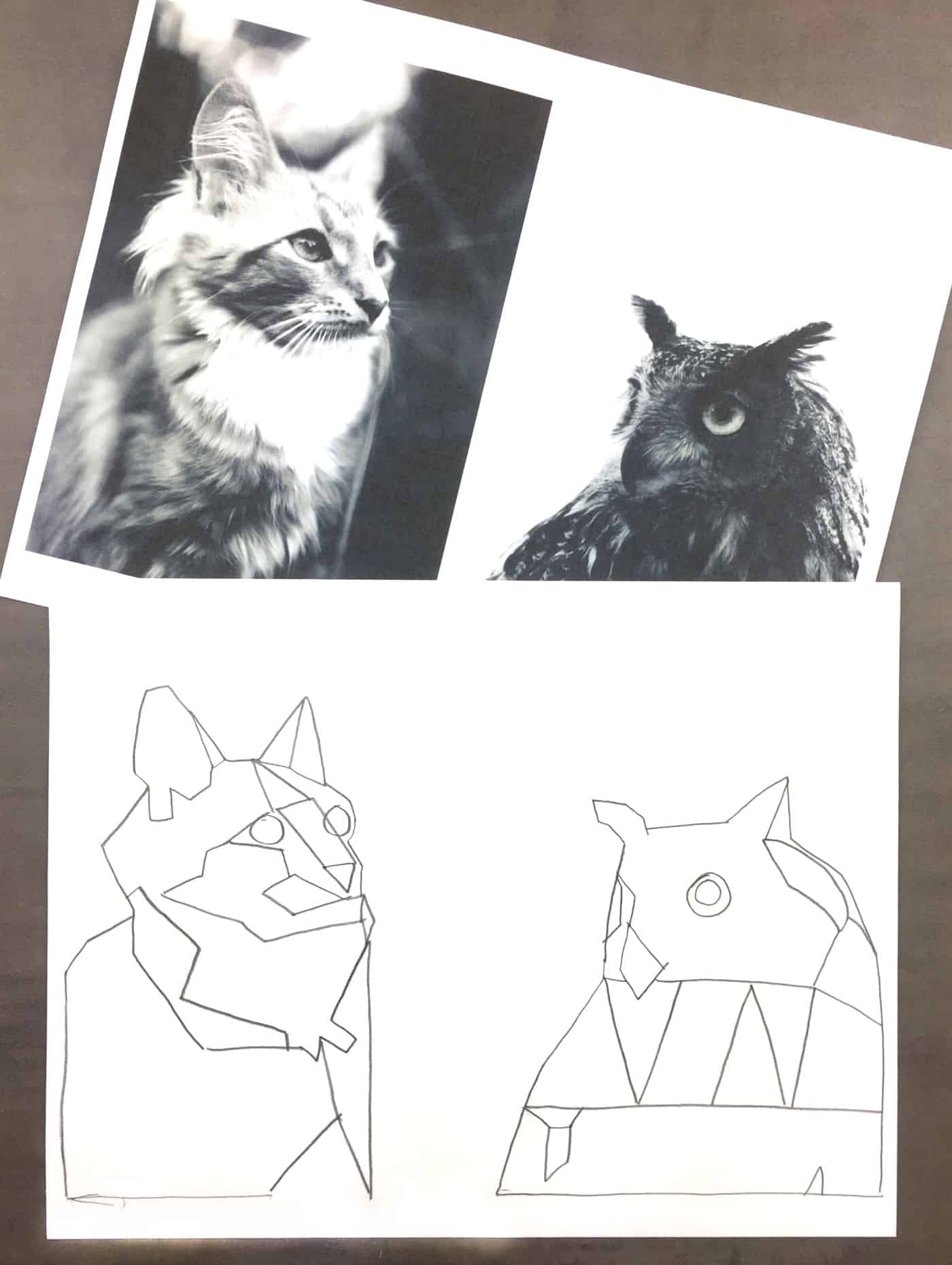 collage print of cat and owl with tracing drawing of cat and owl underneath