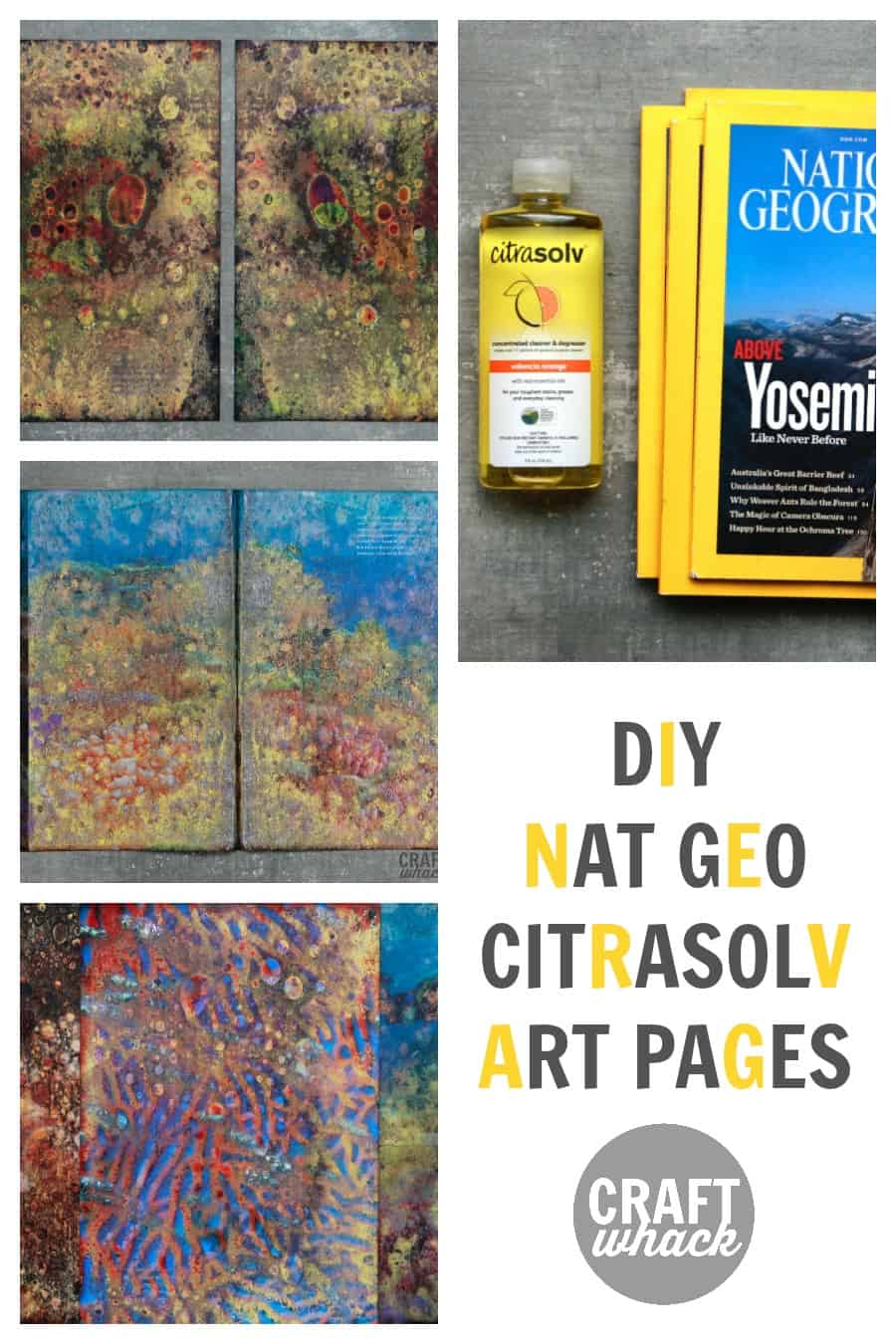 art pages made with National Geographic magazines and Citrasolv concentrate to melt the ink on the page