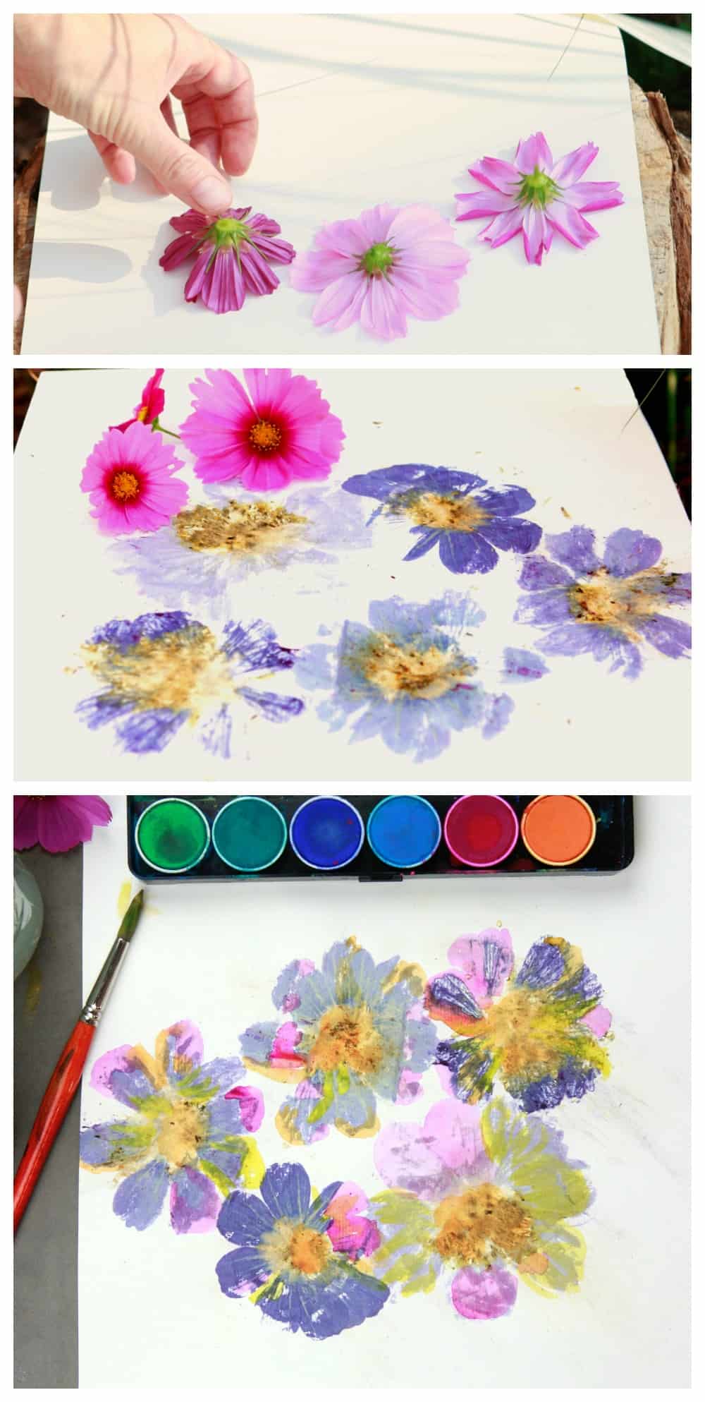 flower pounding flowers on paper and painted