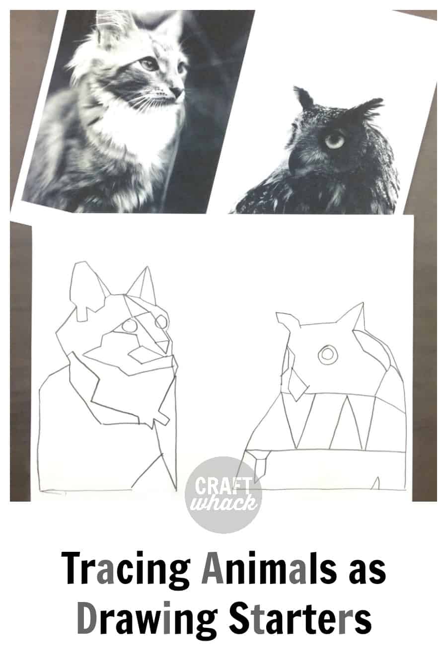 owl and cat tracings that are being used as drawing starters