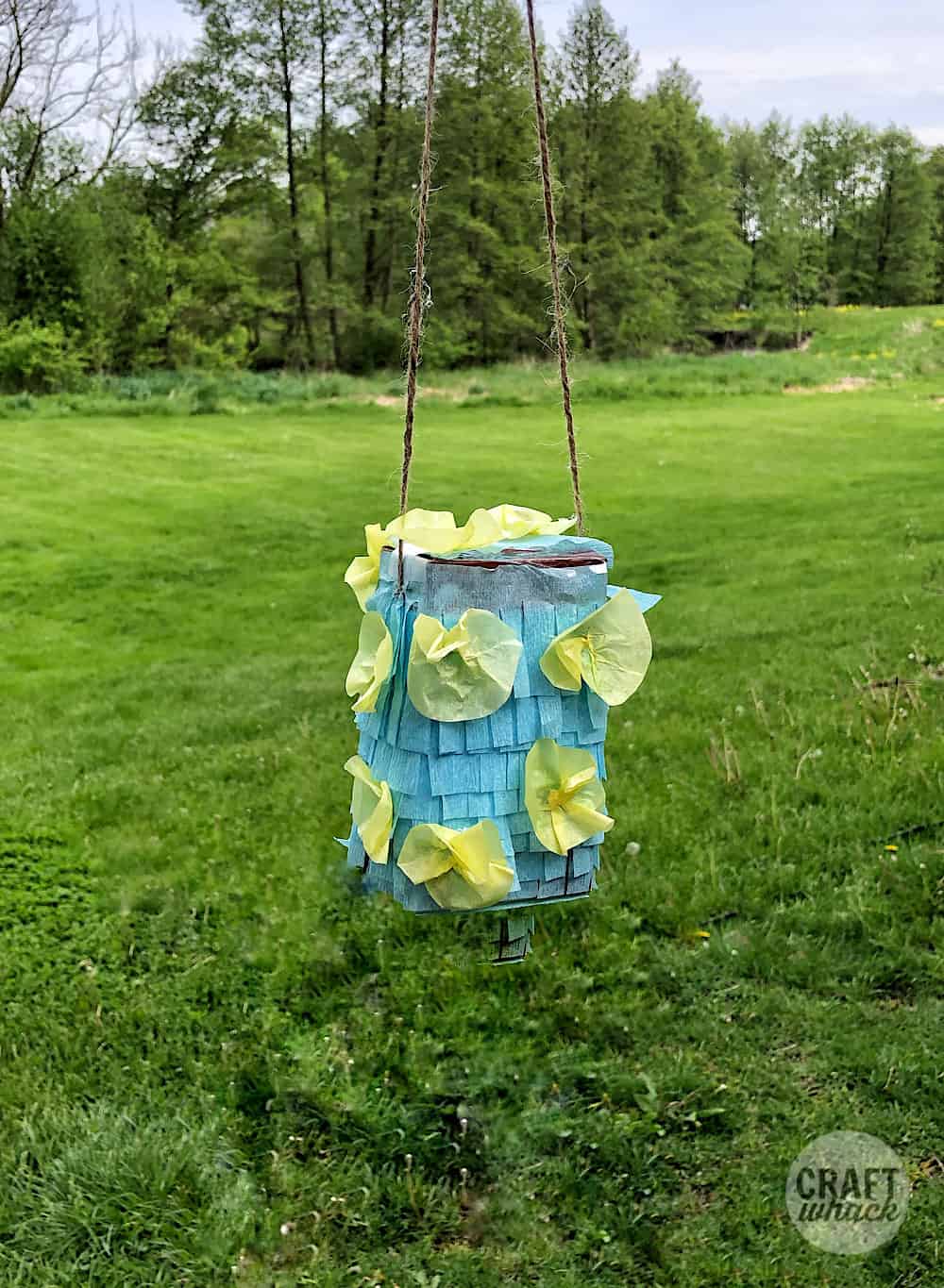 cereal box pinata hanging outside