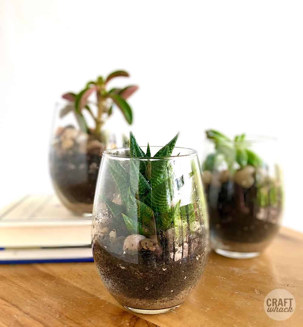 wine glass succulent planters