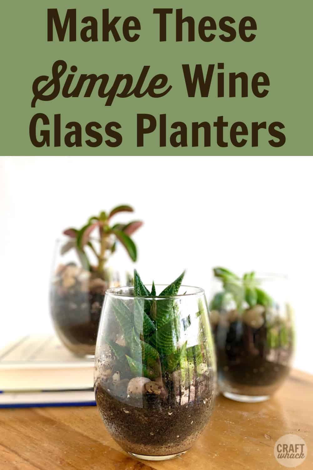 succulents in wine glasses diy