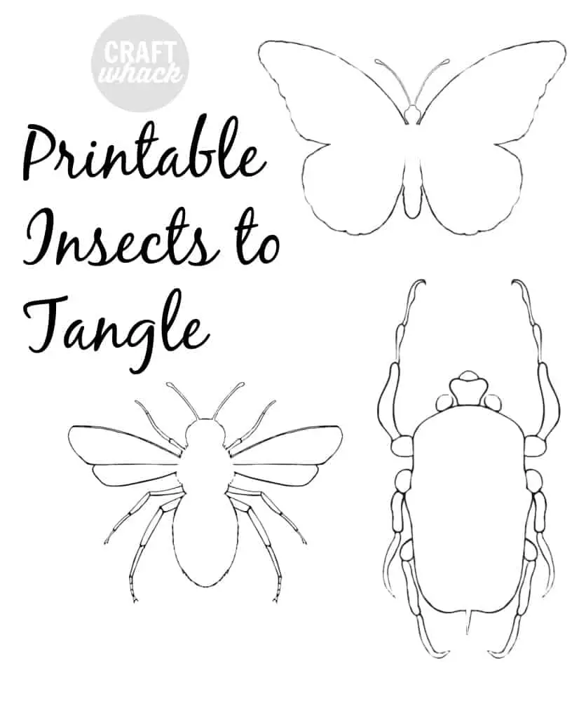 insects to print out and zentangle