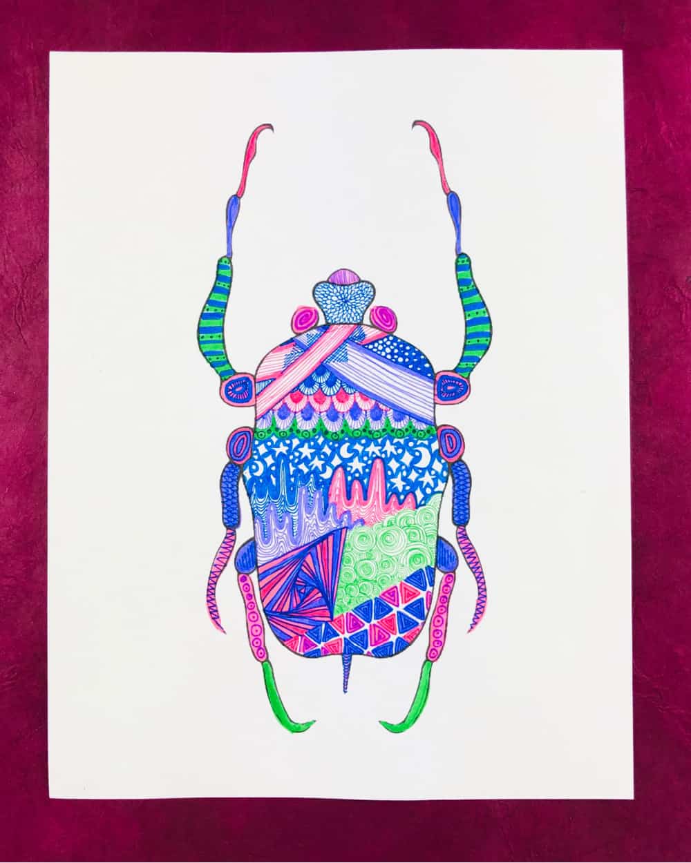 zentangle insects colorful