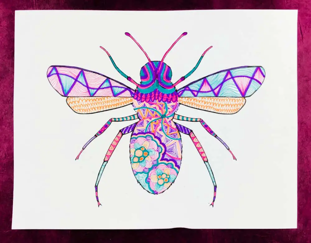 zentangle insects colorful