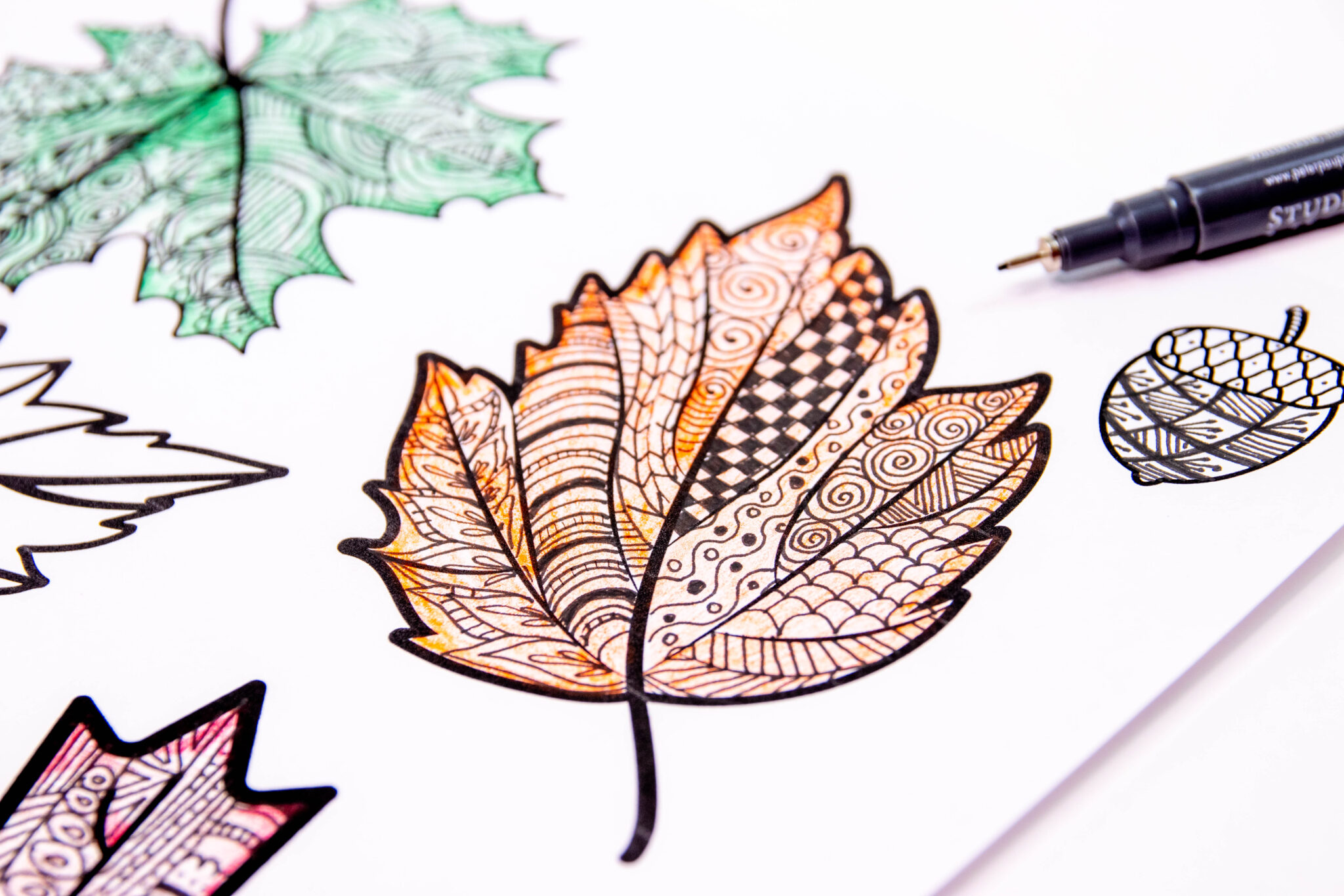 Beautiful Zentangle Fall Leaves DIY