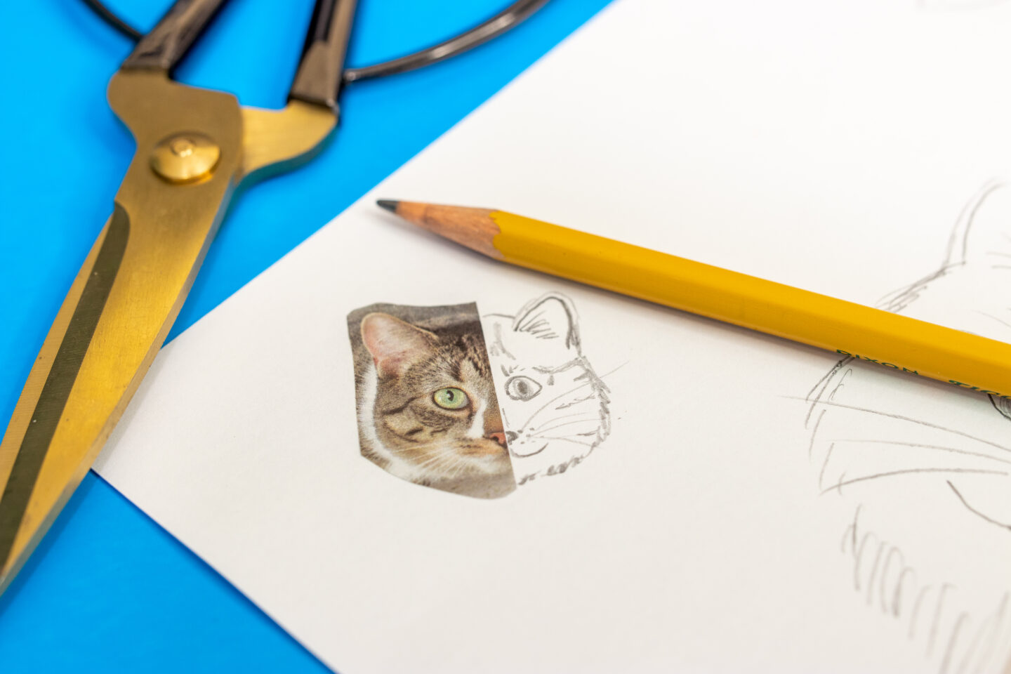 35 Cute  Easy Animal Drawing Ideas