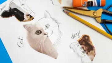animal drawing for kids