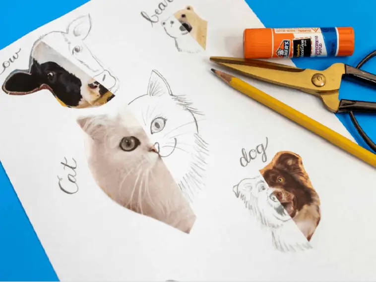 animal drawing for kids