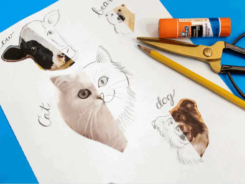 Easy to Draw Cute Animal Drawings for Kids - Kids Art & Craft-saigonsouth.com.vn