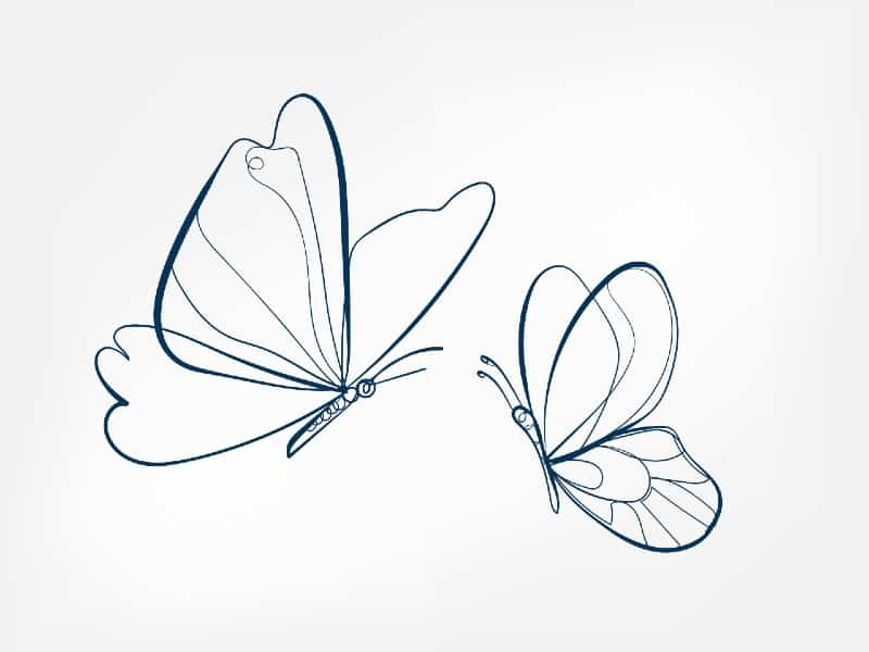 Vector isolated small little tiny simple butterfly drawing. Colorless  contour single line butterfly outline sketch. Stock Vector | Adobe Stock