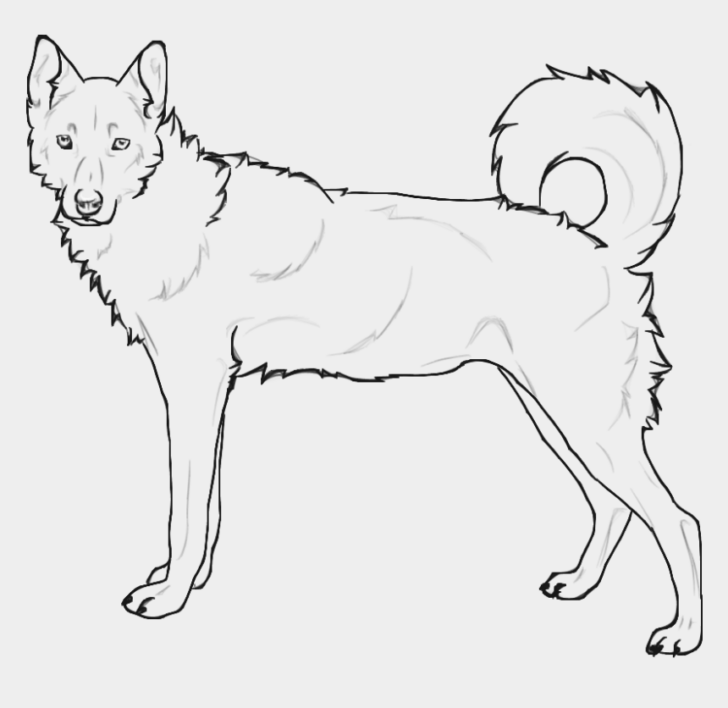 9 Cute Husky Coloring Pages - Amazing Options for Kids & Adults