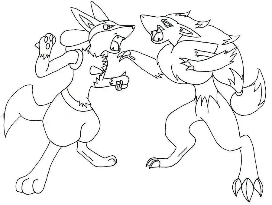 Lucario Fight