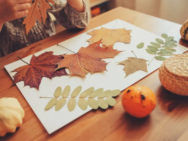 autumn craft ideas
