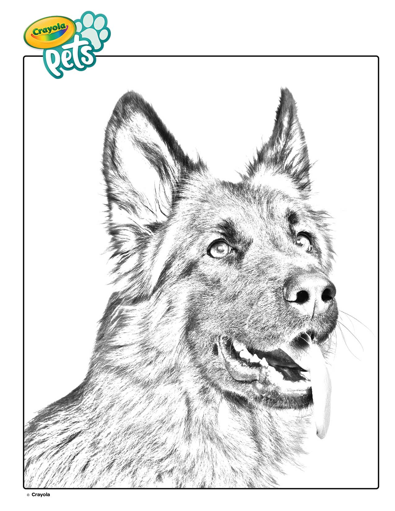 8 Best German Shepherd Coloring Pages · Craftwhack