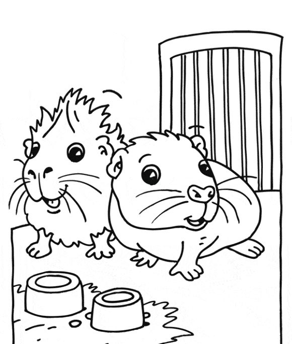 10 Adorable Guinea Pig Coloring Pages - For Kids & Adults