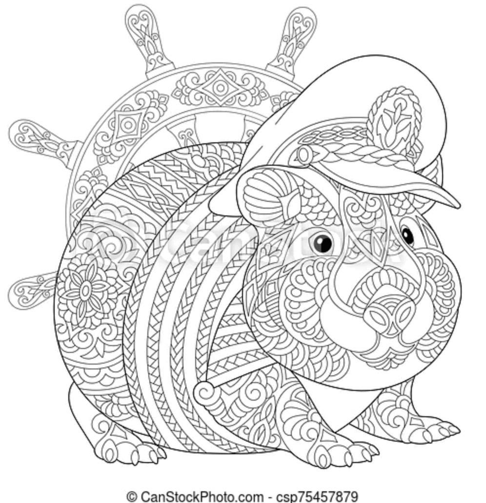 Nautical Guinea Pig