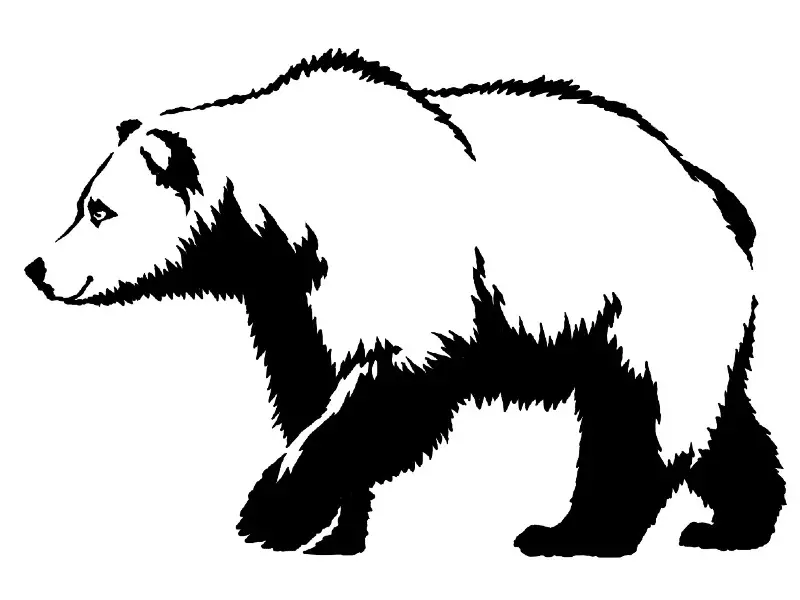 bear drawings