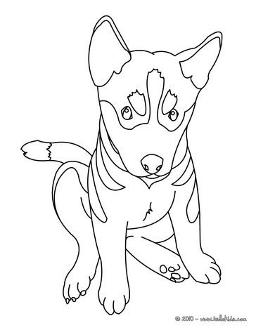 Puppy Outline