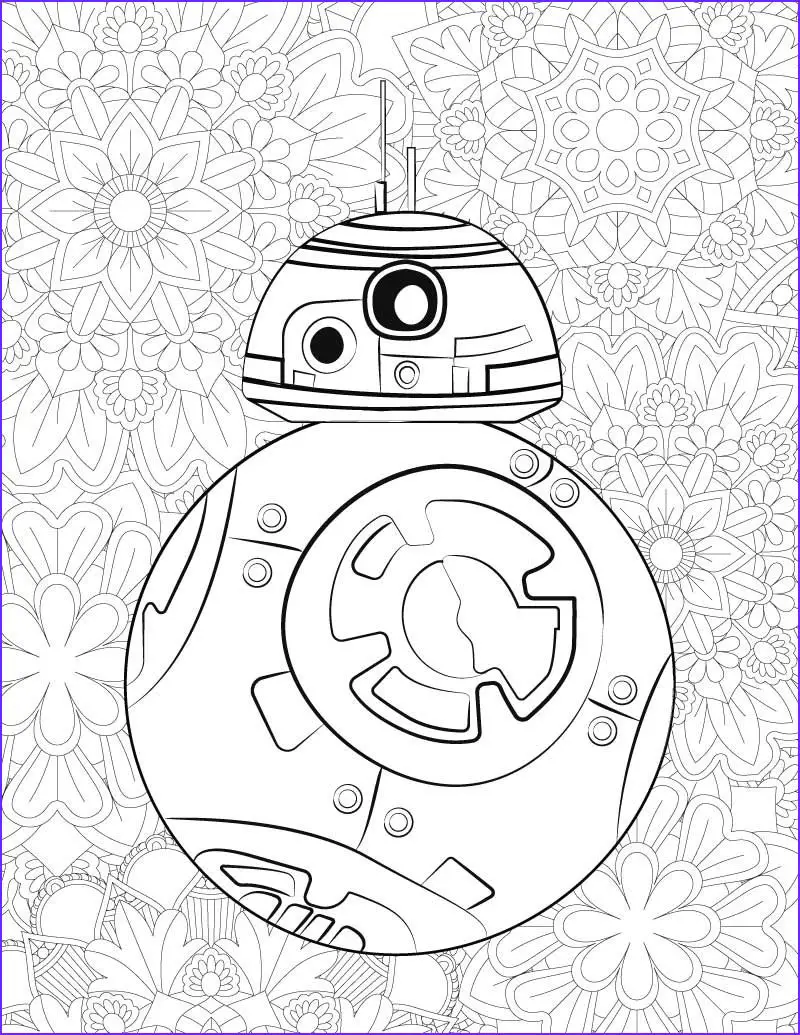 Flowery Background BB8