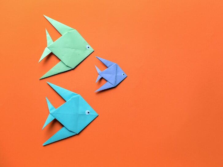3 Beautiful Fish Crafts for Toddlers – Craftwhack