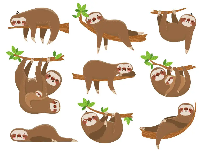 sloth crafts