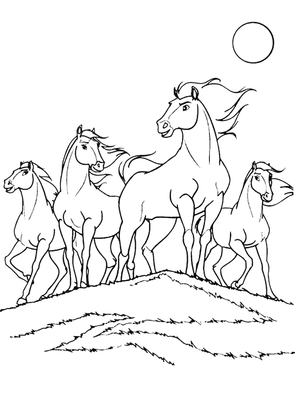 coloring pages of spirit the horse