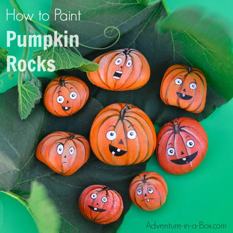 Pet Pumpkin Painted Rocks