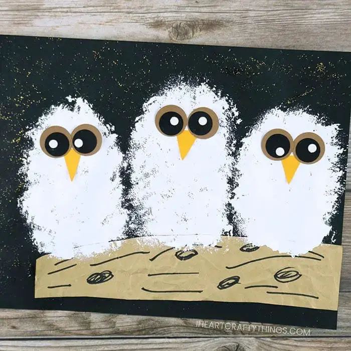 An Owl Card